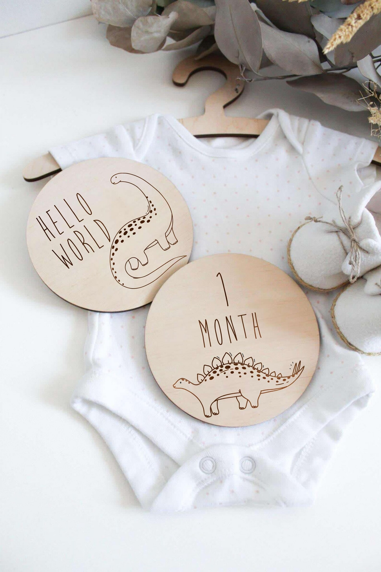 Dinosaur Baby Milestone Discs – Wooden Monthly Milestone Markers