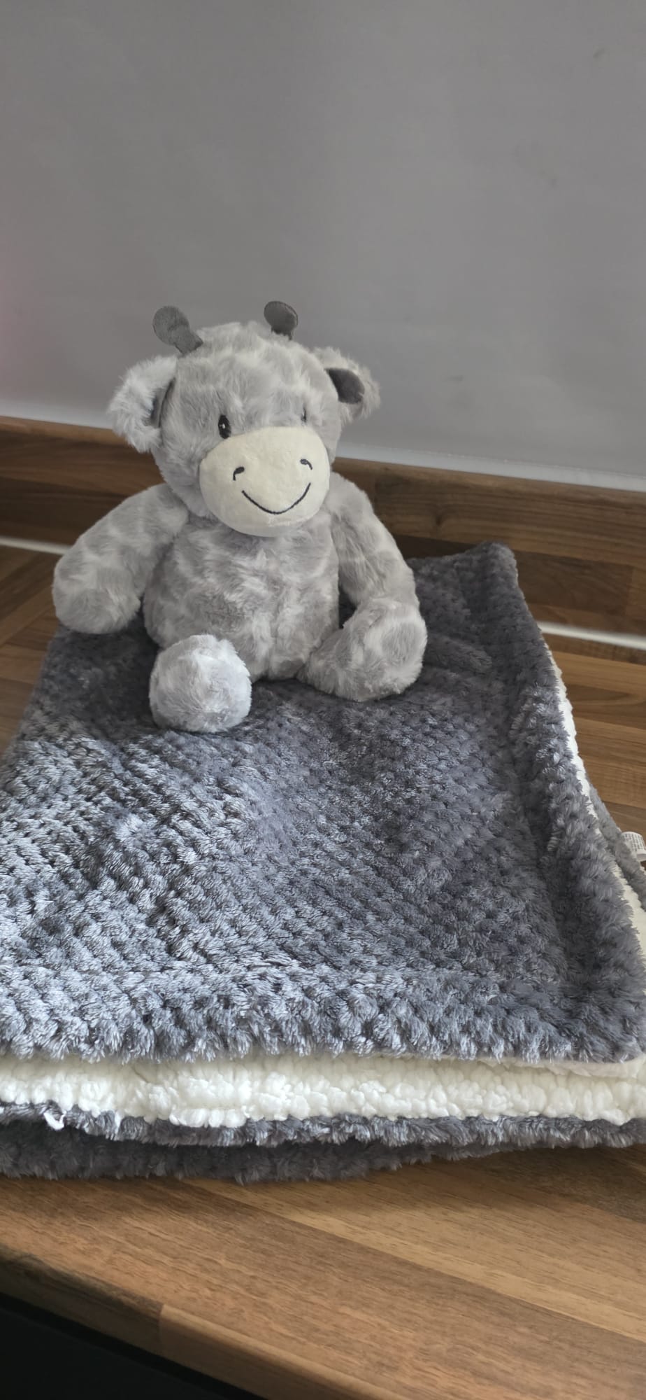Giraffe Teddy and Blanket Set