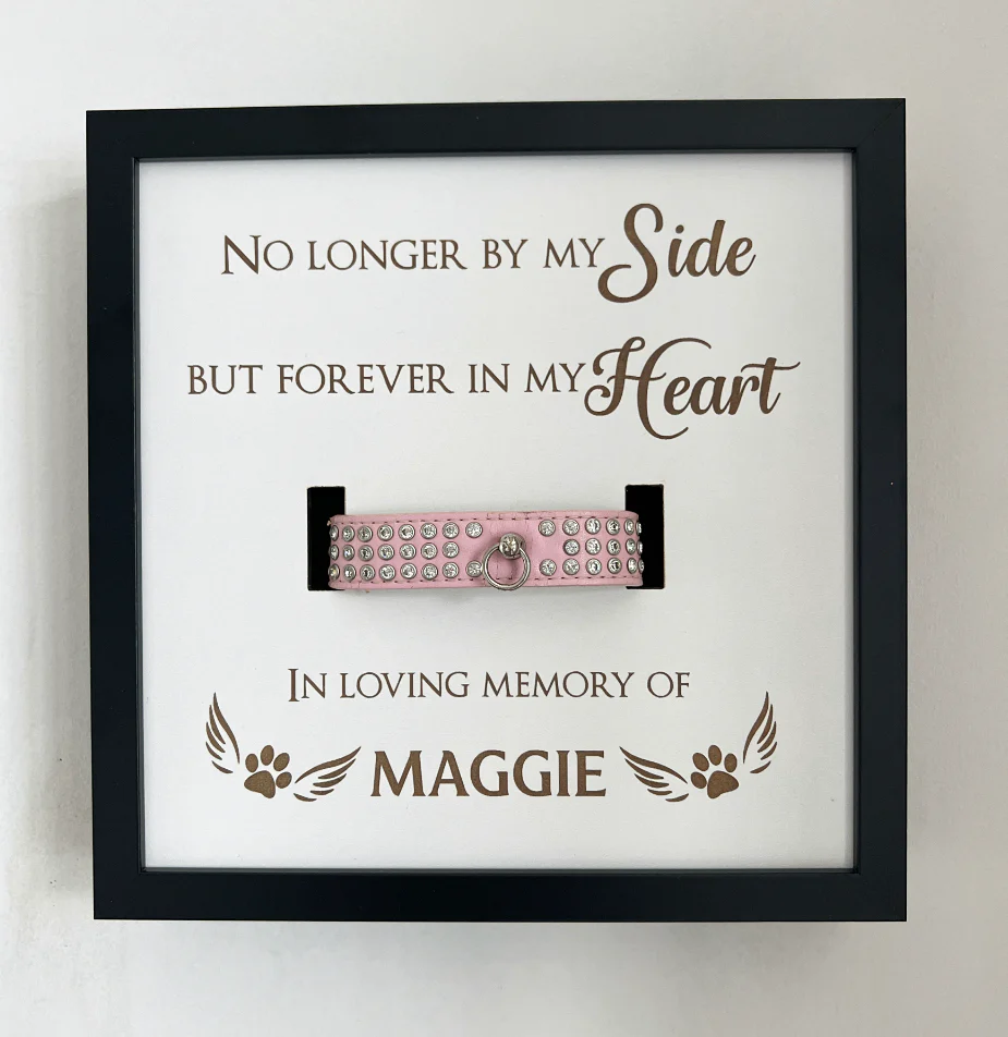 Personalised Memorial Dog Collar Deep Box Frame