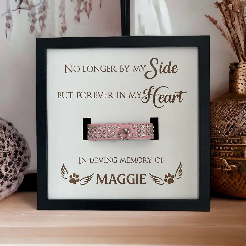 Personalised Memorial Dog Collar Deep Box Frame