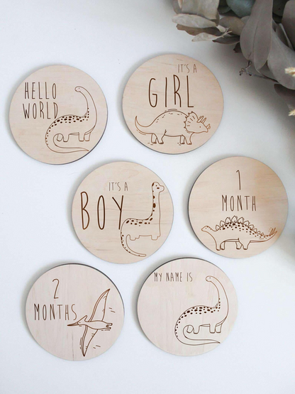Dinosaur Baby Milestone Discs – Wooden Monthly Milestone Markers