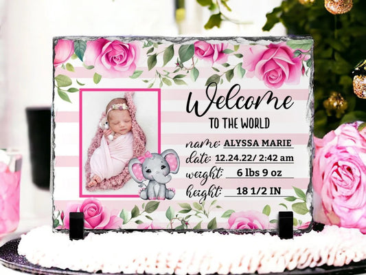 Girls New Baby Photo Slate - Hawkswell Designs